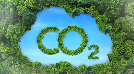 CO2 reduction in practice: 5 questions and answers